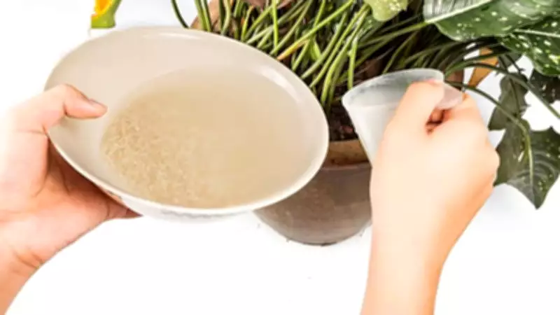 5 Kitchen Waste Items for a Healthy Balcony Garden: Eggshells to Banana Peels