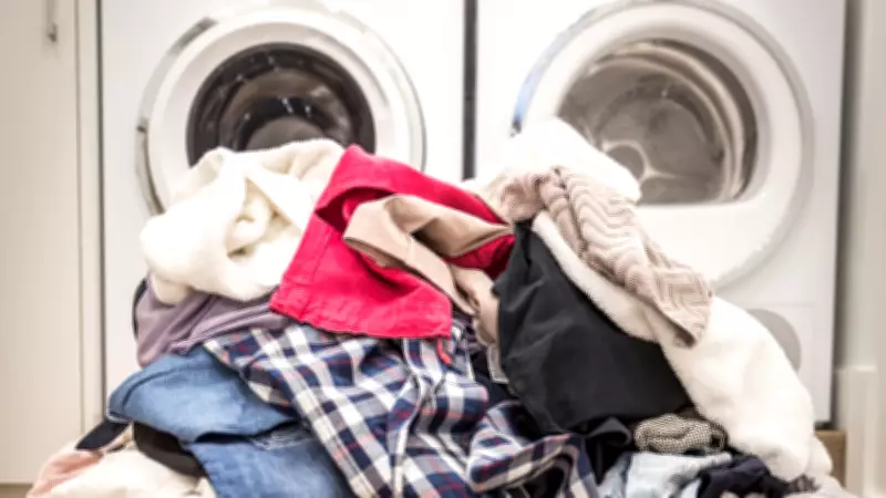 5 Most Common Places Snakes Hide in US Homes You Might Miss