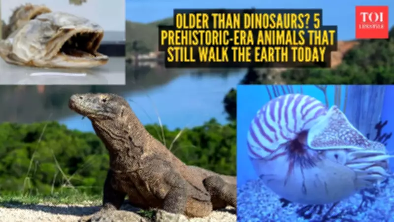 5 Prehistoric Animals Still Alive Today: Older Than Dinosaurs