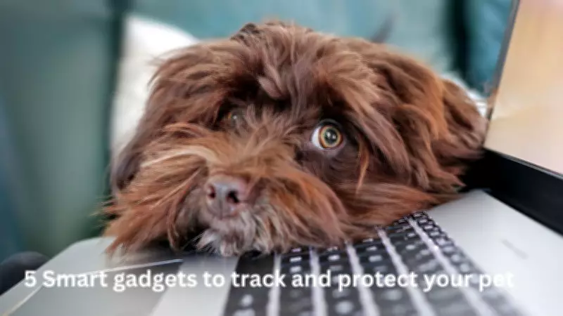 5 Smart Gadgets to Track and Protect Your Pets in 2026