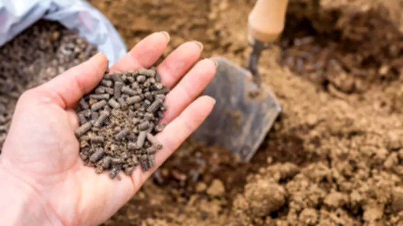 5 Smart Tips to Start a Kitchen Garden for Under ₹1,000