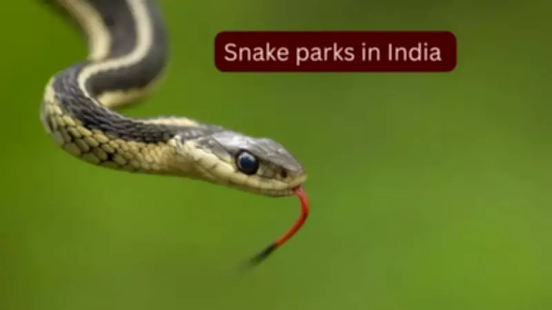 5 Snake Parks in India to Spot Rare and Venomous Species and How to Reach Them
