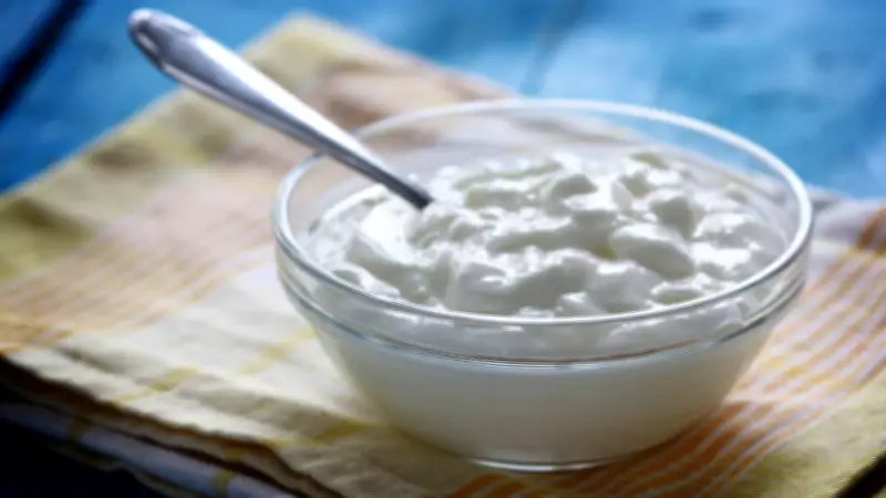 5 Unique Curd Varieties to Beat the Summer Heat in India
