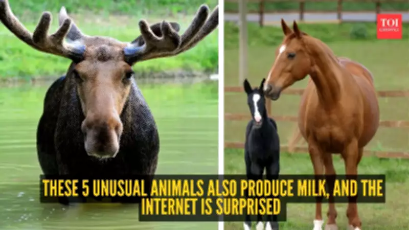 5 Unusual Animals That Produce Milk and Surprise the Internet