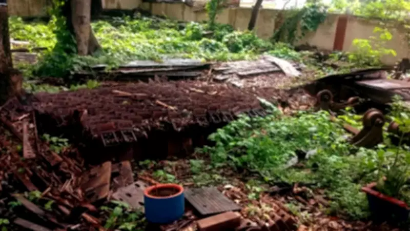 6 Kitchen Waste Items That Work as Natural Fertilizers for Terrace Gardens