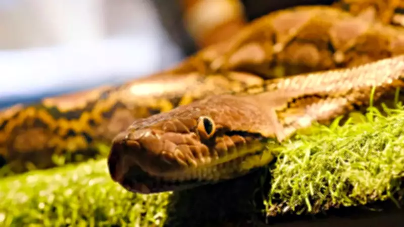 6 Most Snake-Filled Water Bodies in British Columbia You Should Know
