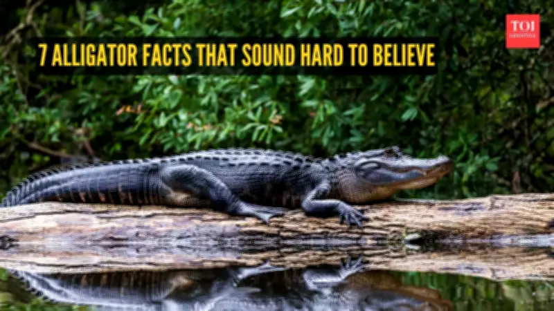 7 Incredible Alligator Facts That Seem Too Strange to Be True