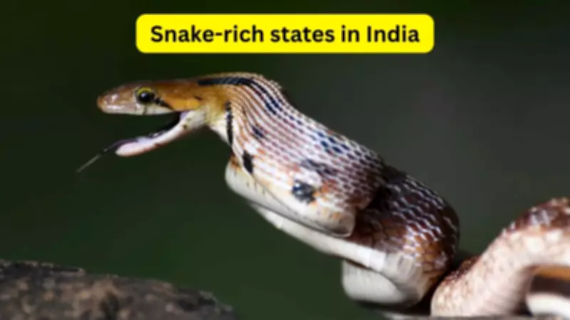 7 Snake-Rich States in India: A Guide for Wildlife Travellers