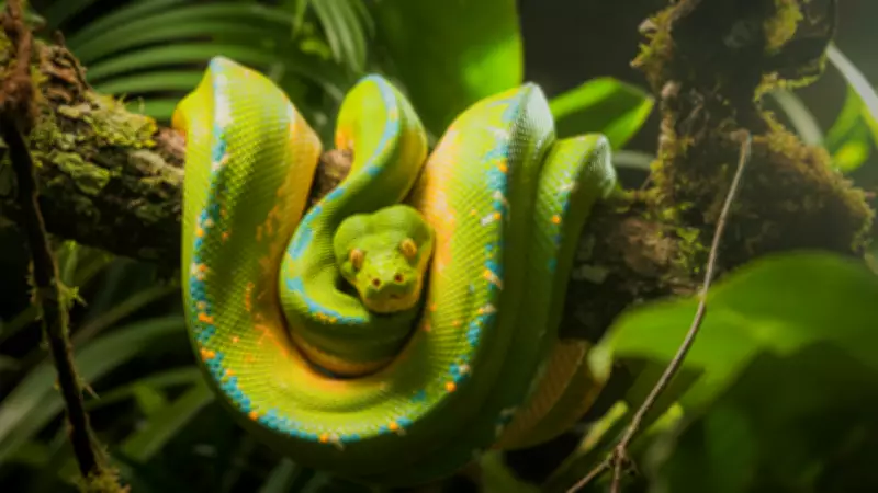 7 Snakes with Colors So Bright They Look AI-Generated