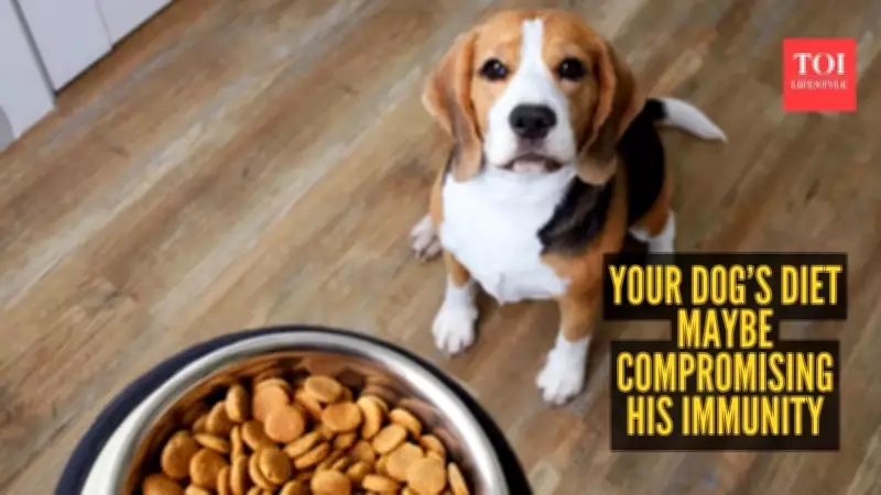 7 Warning Signs Your Dog's Immune System Needs a Boost