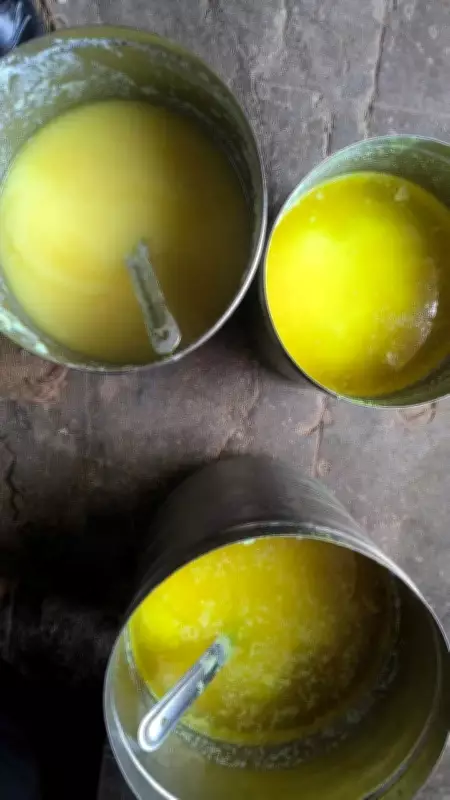 76-Year-Old Woman Held for Selling Fake Desi Ghee in Devbhumi Dwarka