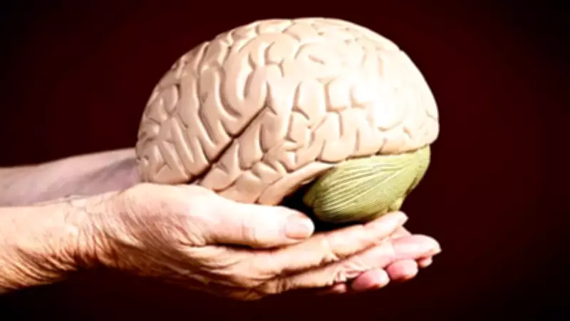 8 Easy Hobbies That Can Slow Brain Aging, According to Science