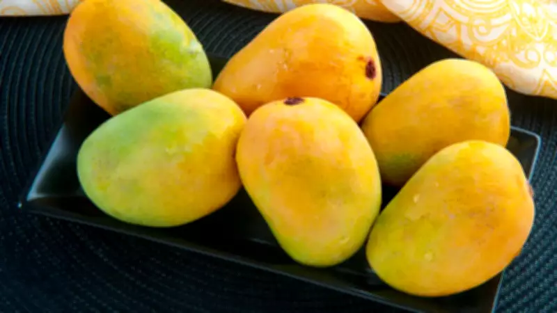 8 GI-Tagged Indian Mangoes and Their Unique Qualities