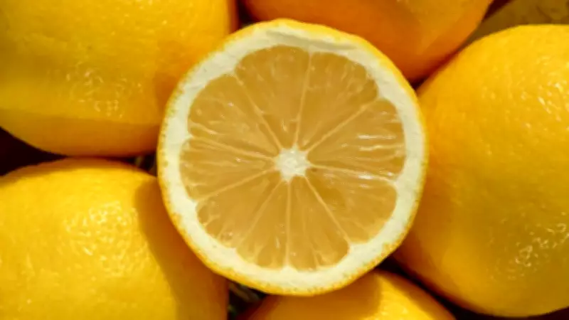 8 Simple Kitchen Tricks to Keep Lemons Fresh and Juicy Longer