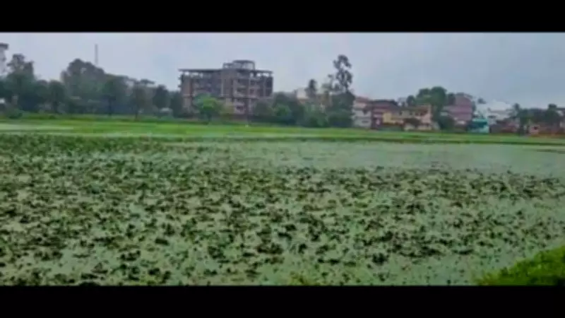 80-Year-Old Environmentalist Saves Hazaribag Pond with NGT Victory
