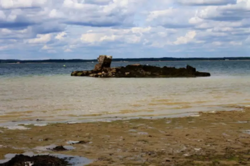 8,000-Year-Old Shipyard Found Underwater Off England Coast Rewrites History