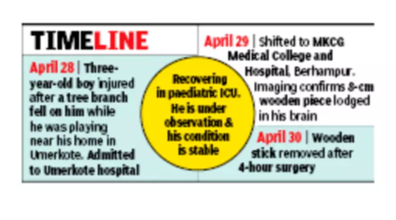 8cm twig removed from 3-year-old boy's brain in Berhampur surgery