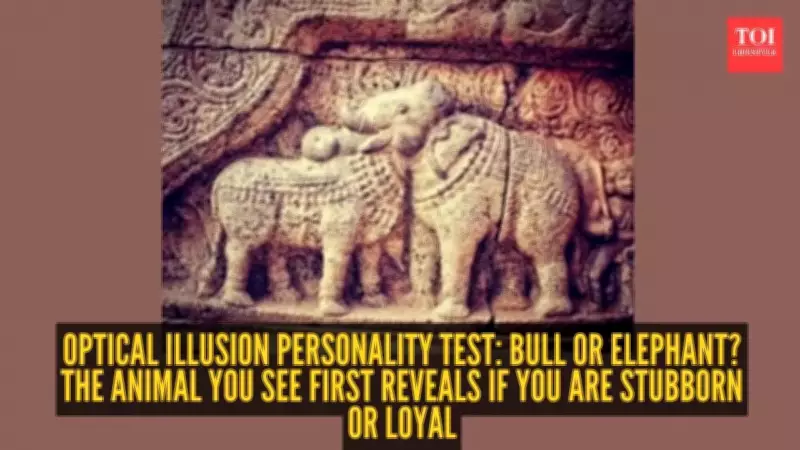 900-Year-Old Chola Sculpture: Bull or Elephant? Personality Test