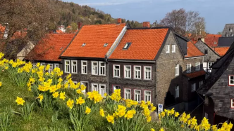 A Summer Day in Goslar: Exploring German Heritage and Nature