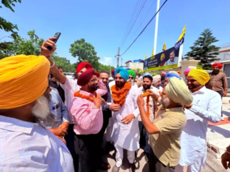 AAP Sweeps Mohali Local Body Elections, Set to Form Councils
