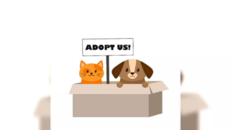 Adopt, Don't Shop: Readers Favor Pet Adoption Over Buying