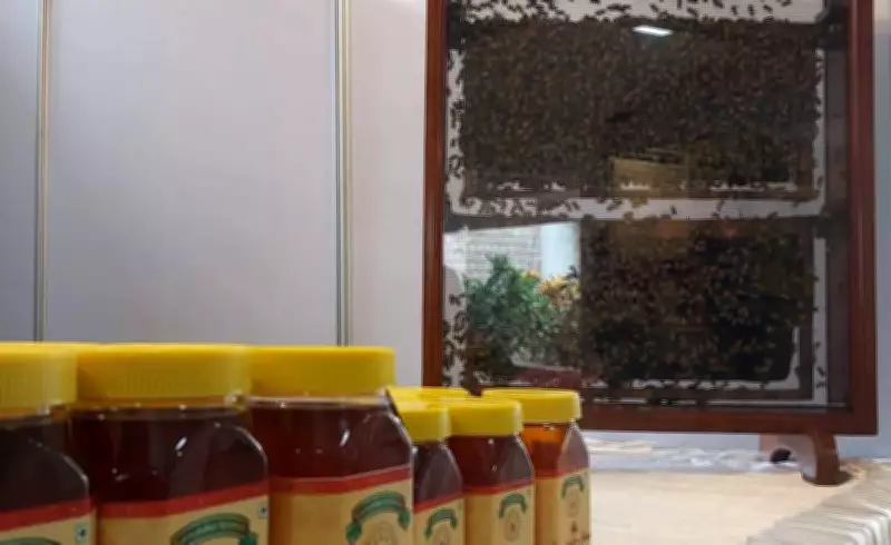 Adulteration, Fake Branding Erode Trust in Karnataka Honey Industry