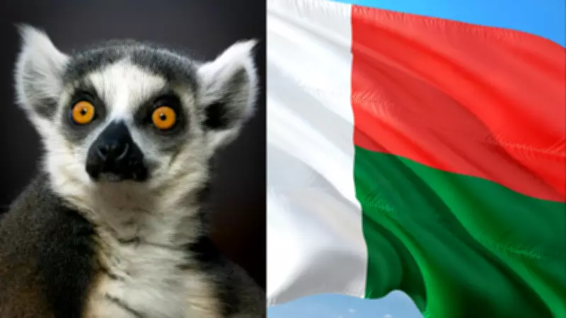 Advanced Tech Revolutionizes Biodiversity Research in Madagascar's Unique Ecosystems