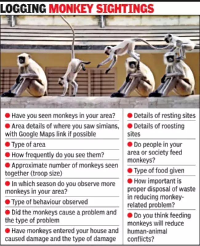 Ahmedabad Launches First Monkey Census to Tackle Rising Conflicts
