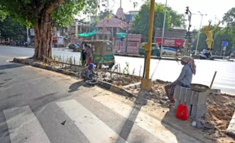 Ahmedabad Replaces Paver Blocks with Trees at 100 Junctions to Combat Heat