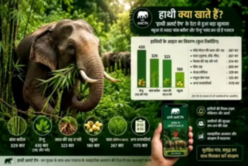 AI App Reveals Elephants Prefer Tendu, Bamboo Over Mahua in Chhattisgarh