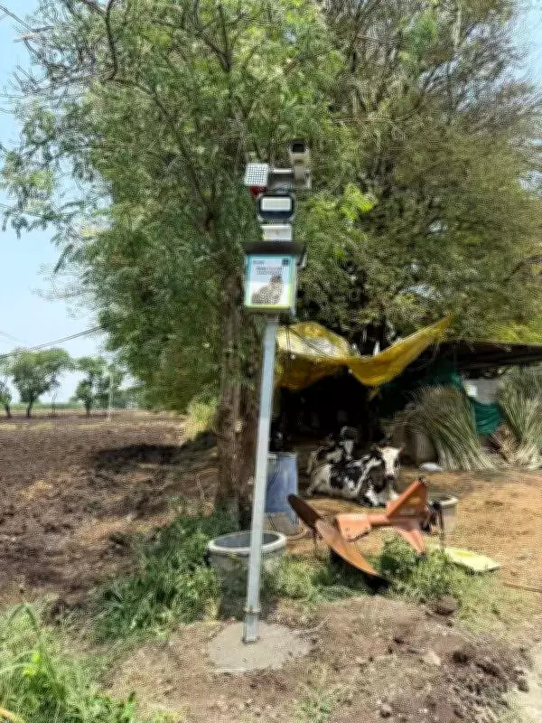 AI-Based Leopard Alert System Installed in 20 Vulnerable Pune Villages