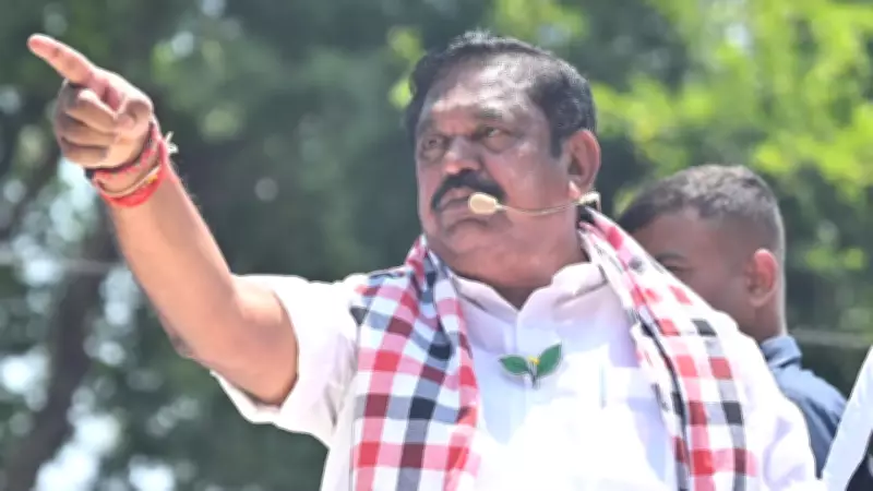 AIADMK Rules Out Support to Vijay's TVK for Govt Formation