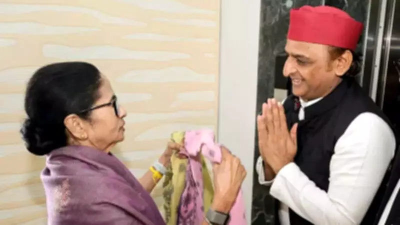 Akhilesh Yadav Meets Mamata Banerjee After TMC's Defeat in Bengal Elections
