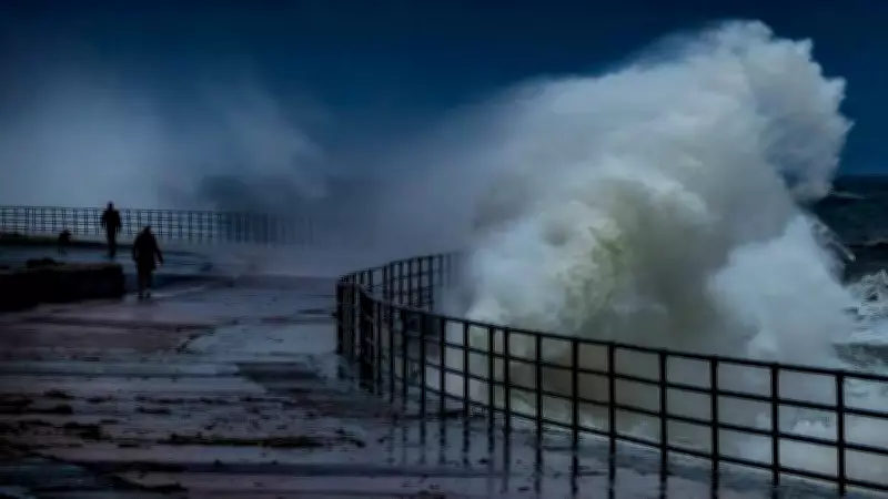 Alaskan Fjord Megatsunami Second Tallest Wave Ever Recorded