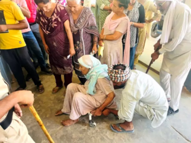Amargarh Leads Malerkotla with 80.33% Voter Turnout