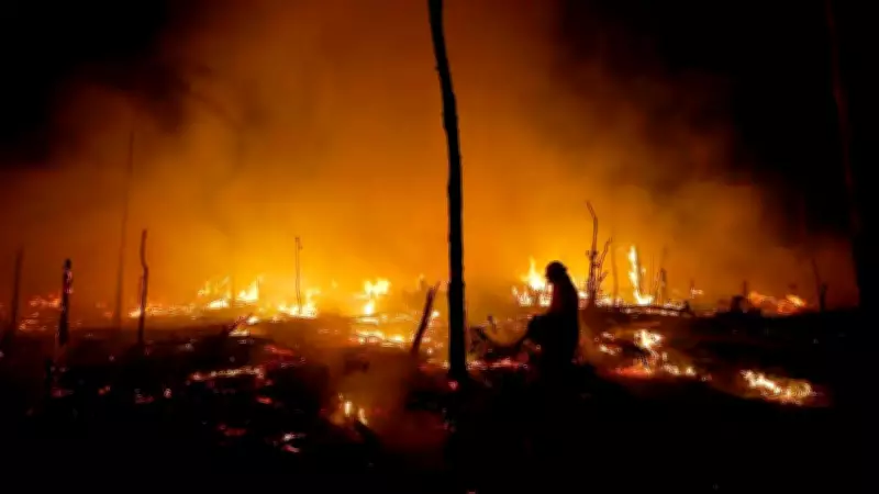 Amazon Degradation Threatens Gains in Deforestation Reduction