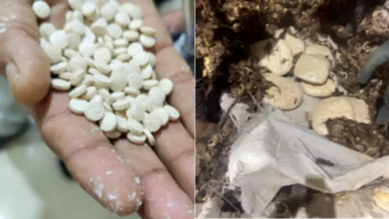 Amit Shah Announces First-Ever Seizure of 'Jihadi Drug' Captagon Worth Rs 182 Crore