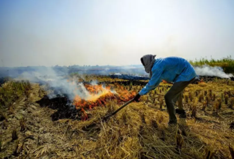 Amritsar Rural Police Register 95 FIRs in Crackdown on Stubble Burning