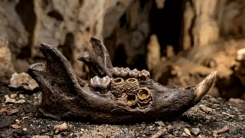 Ancient Bees Used Rodent Bones as Nesting Sites, Study Reveals
