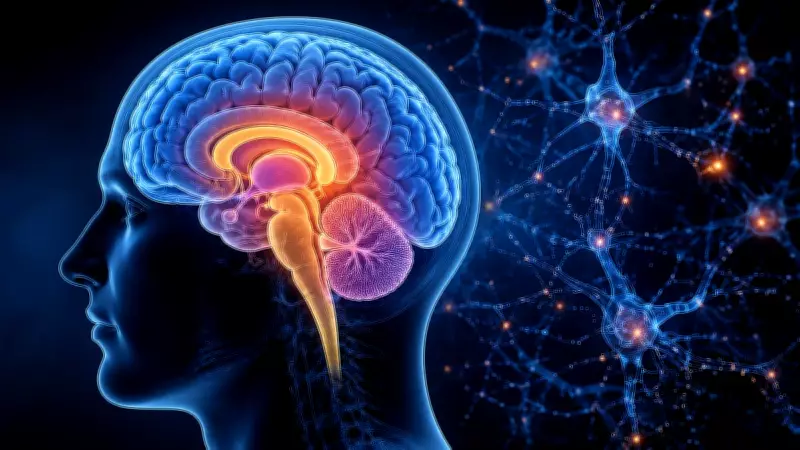 Ancient Deep Brain May Hold Roots of Consciousness