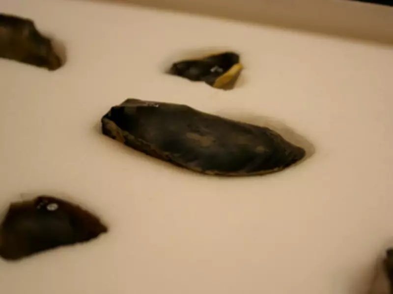 Ancient DNA Reveals Modern Humans Made Mysterious Ice Age Stone Tools