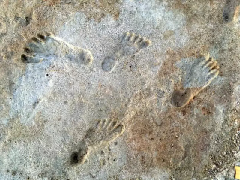 Ancient Footprints in New Mexico Rewrite History of Humans in Americas