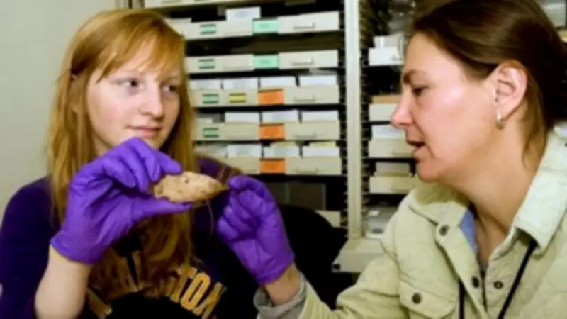 Ancient Stone Tool Found Under University of Washington Campus