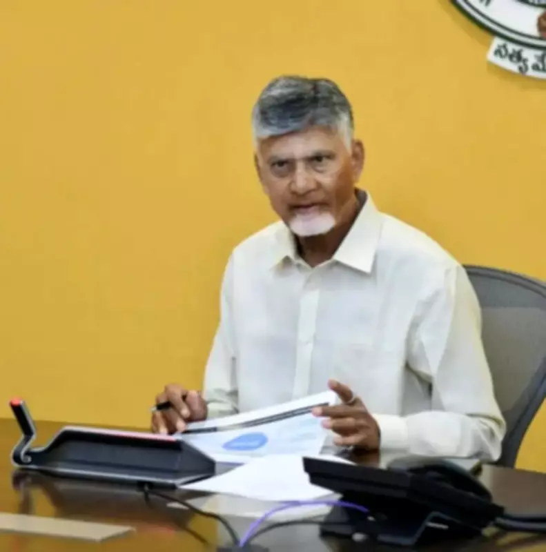 Andhra CM Chandrababu Naidu Seeks Central Help to Control Rising Shrimp Feed Prices