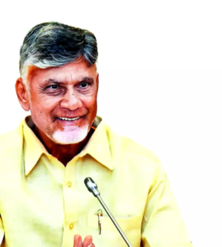 Andhra CM Naidu Directs Farm to Home Model for Direct Agri Marketing