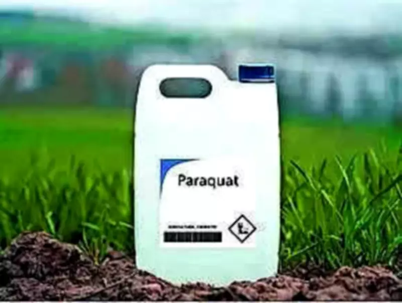 Andhra Pradesh Imposes 60-Day Ban on Toxic Herbicide Paraquat