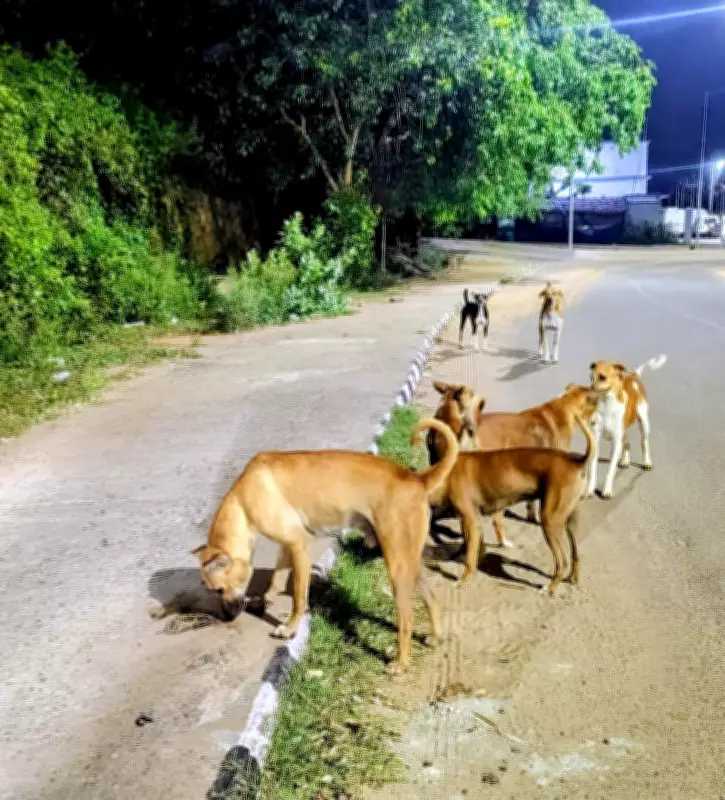 Animal Cruelty Case in Pune: Dog Beaten to Death by Society Staff