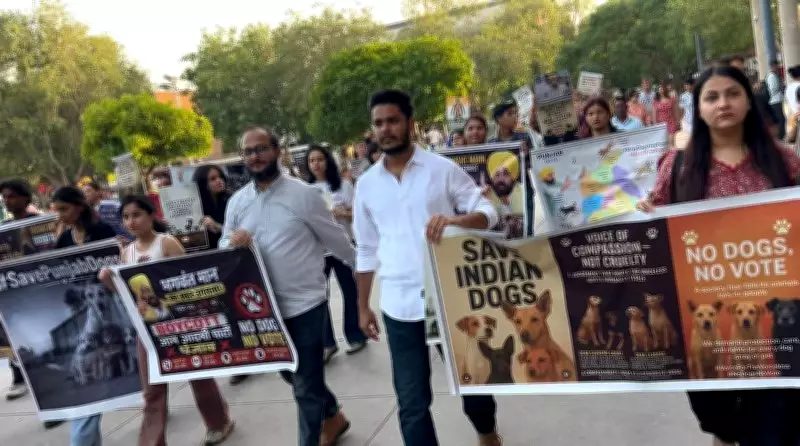 Animal Rights Activists Protest Against Punjab CM's Stray Dog Remarks