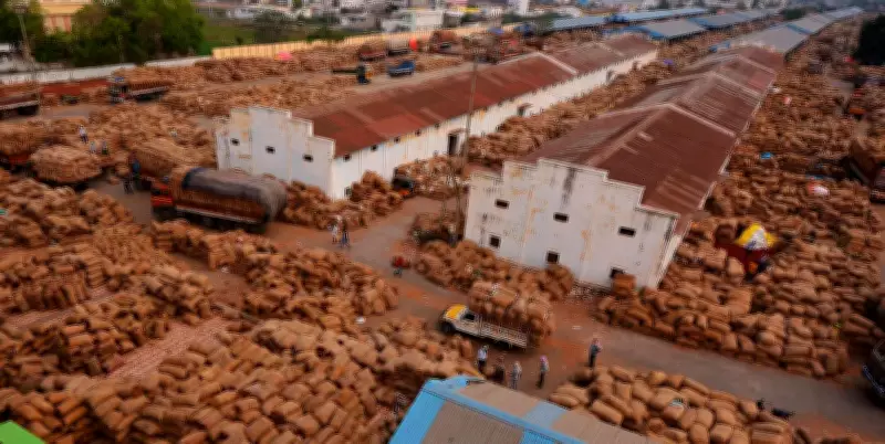 AP govt mulls CID probe into agriculture marketing irregularities