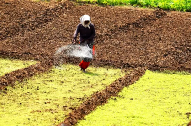 AP govt warns of strict action against fertiliser black marketing